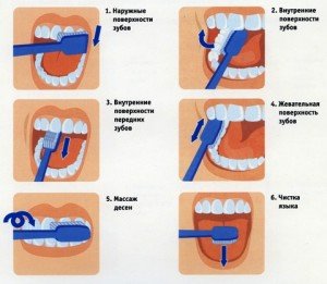 Правила гигиены полости рта, учим ребенка чистить зубы 